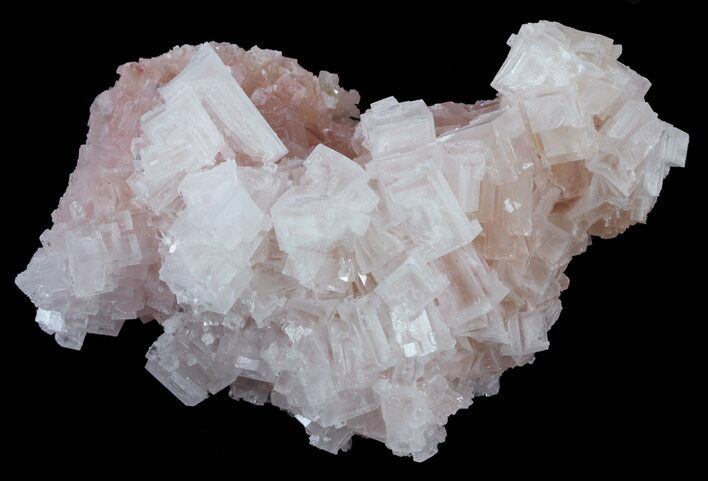 Pink Halite Crystal Plate - Trona, California #61058